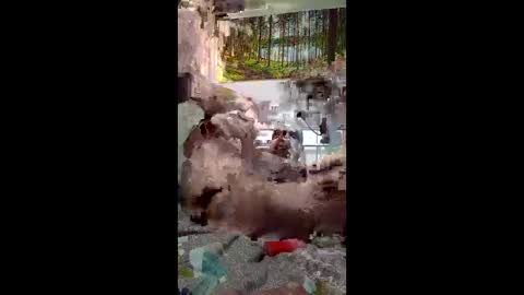 bm135 online show from April 9, 5:33 am