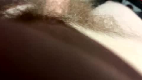 bobdillon401 online show from February 24, 4:21 pm