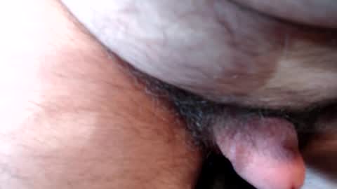 bobswan online show from September 17, 6:44 pm