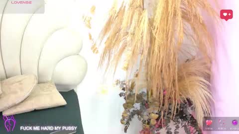 bonieklent online show from February 3, 3:26 am