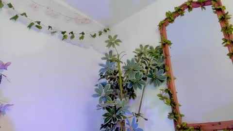   online show from March 20, 12:48 am