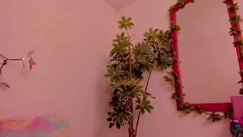   online show from March 22, 11:31 pm