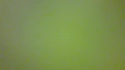 bonniediamond online show from October 30, 6:52 pm