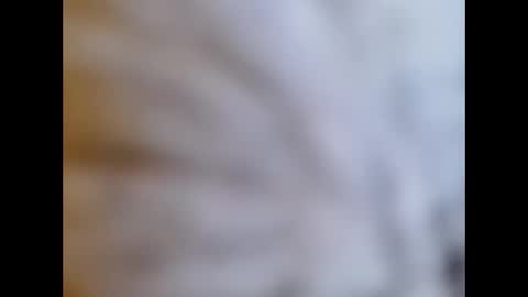 bonop1 online show from January 1, 1:59 pm