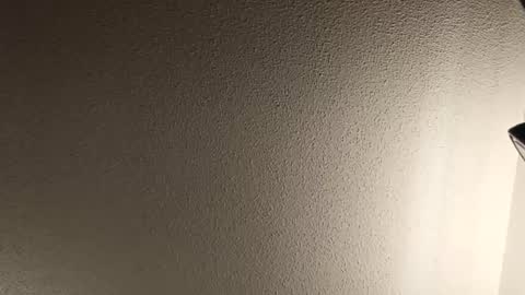 boobookittyfuxx online show from February 18, 5:29 am