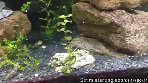 Booker Baxton online show from November 15, 4:03 am