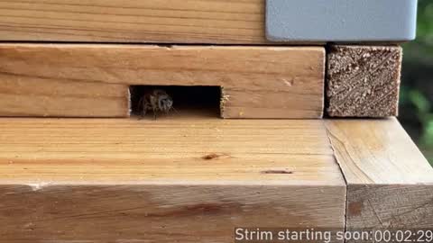 Booker Baxton online show from March 4, 4:09 am