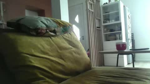 bordojh online show from January 11, 12:00 pm