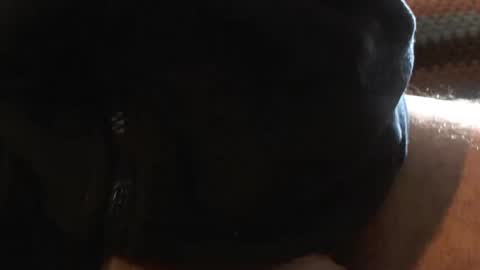 Snapshot of bossram160 chatting on March 6, 9:36 am bossram160 online show from March 6, 9:36 am