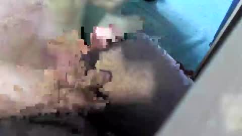 Snapshot of bossram160 chatting on September 26, 9:28 am bossram160 online show from September 26, 9:28 am