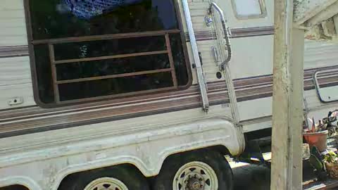 Snapshot of bpdbrittany chatting on February 9, 5:33 pm bpdbrittany online show from February 9, 5:33 pm