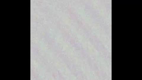 keith lark199 online show from January 8, 2:06 am