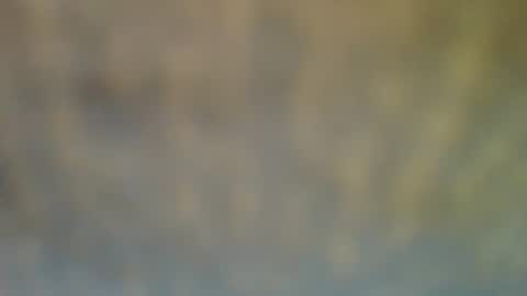 bradynoggle online show from February 12, 6:40 pm