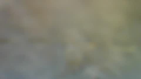 bradynoggle online show from November 9, 9:28 pm