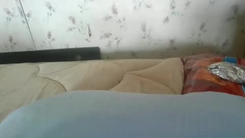 Bay online show from December 16, 3:40 pm