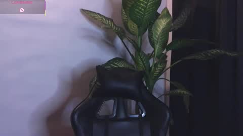 Bri  online show from February 6, 2:26 am