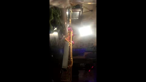 brooklynnic online show from January 12, 2:35 pm