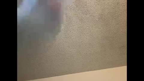 EtherealLilac online show from March 4, 12:07 am