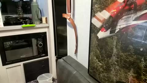 Steve... aka SkinnieDippin aka TimberTramp online show from February 21, 10:07 am