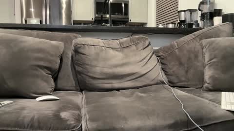 brwm2013 online show from January 12, 3:07 am