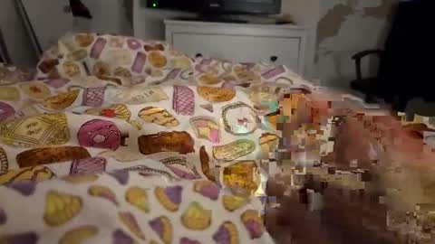 bth2908 online show from October 30, 8:26 am