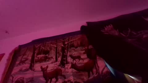 buckoykang online show from January 13, 5:43 pm