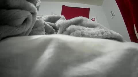 Snapshot of budsonly33 chatting on December 12, 7:52 am budsonly33 online show from December 12, 7:52 am