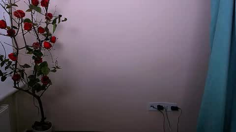 Snapshot of bunnybloom_ chatting on October 21, 4:17 am Ariel online show from October 21, 4:17 am