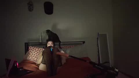 bxdieelatina online show from March 1, 12:15 am