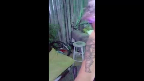 cactuscok online show from May 12, 1:03 am