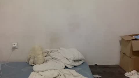 Lamb online show from July 14, 5:51 pm