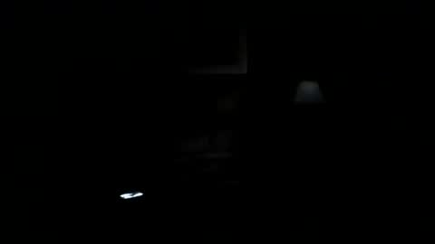 Wilderthanmost online show from July 24, 5:48 am