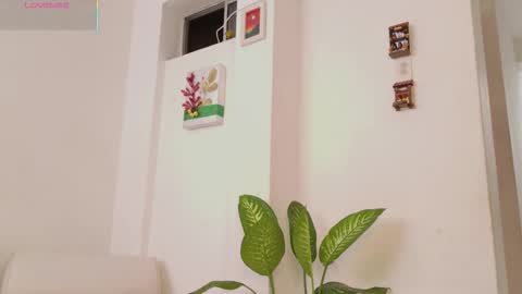 Candy online show from February 25, 5:05 pm