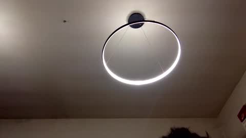 Carlos online show from February 8, 9:04 pm