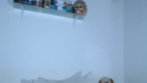 CarolinaM online show from September 28, 1:42 pm