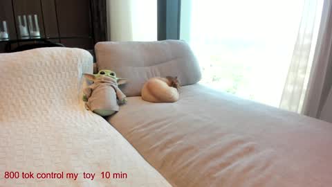 Lina.I will online 1 December   online show from September 14, 10:38 am