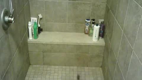 castleclashstarlord online show from January 12, 12:45 pm