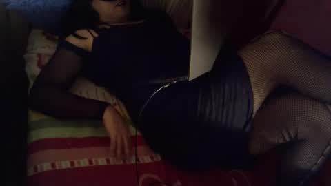 catbombon online show from February 18, 4:56 am