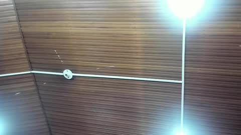 caylincollins online show from February 2, 12:56 pm