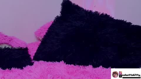 celestte_evans_1 online show from February 20, 5:07 am