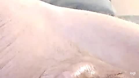 Snapshot of cfnmkinky28 chatting on December 17, 9:07 am cfnmkinky28 online show from December 17, 9:07 am