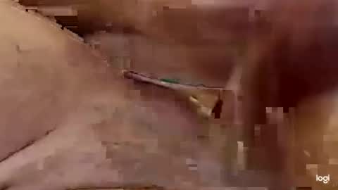 Snapshot of cfnmkinky28 chatting on January 1, 4:07 am cfnmkinky28 online show from January 1, 4:07 am