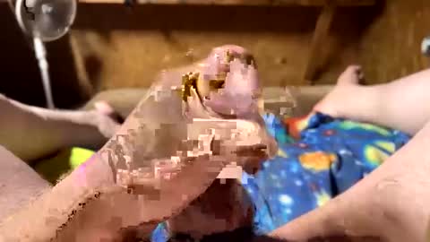 Snapshot of chasepeewee2 chatting on February 16, 3:58 am chasepeewee2 online show from February 16, 3:58 am