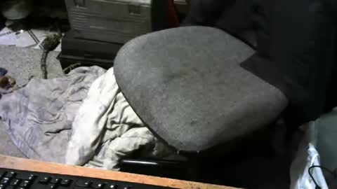 chefy online show from March 3, 11:50 am