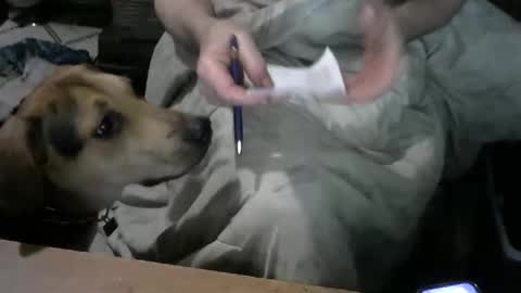 chefy online show from February 24, 11:02 am