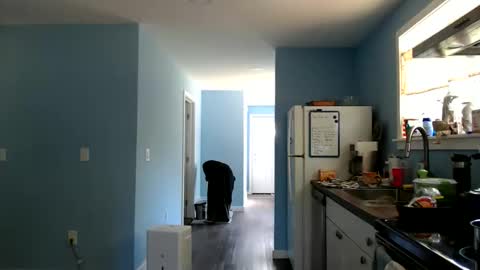 Chelsea online show from September 12, 3:25 pm