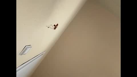 cheryyss online show from March 3, 2:24 pm