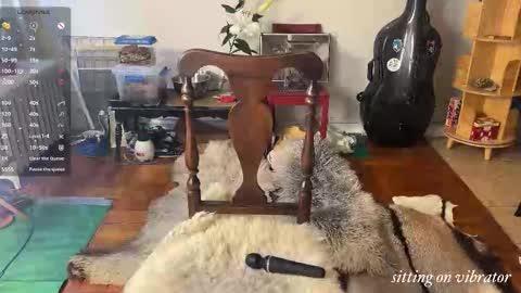 judith online show from November 4, 8:10 pm