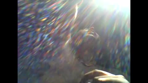 CHINO online show from April 11, 2:21 pm