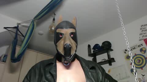 chrisdan_ online show from October 26, 2:56 am